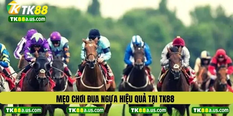 Mẹo chơi đua ngựa hiệu quả tại TK88