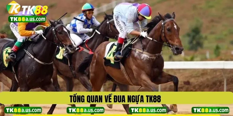 Tổng quan về đua ngựa TK88